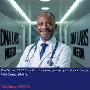 CRB2 Gene Ventriculomegaly With Cystic Kidney Disease NGS Genetic DNA Test cost NGN 400000