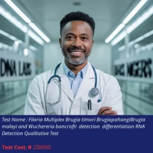 Filaria Multiplex Brugia Timori