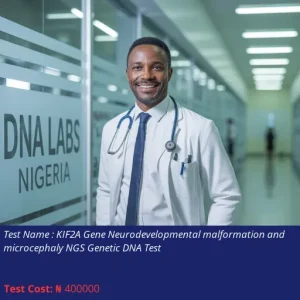 KIF2A Gene Neurodevelopmental Malformation and Microcephaly NGS Genetic DNA Test cost NGN 400000