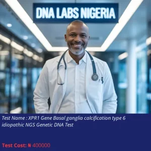 XPR1 Gene Basal Ganglia Calcification Type 6 Idiopathic NGS Genetic DNA Test cost NGN 400000